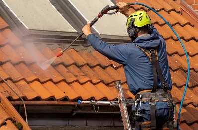 Démoussage et hydrofuge de toiture à Tournous-Devant